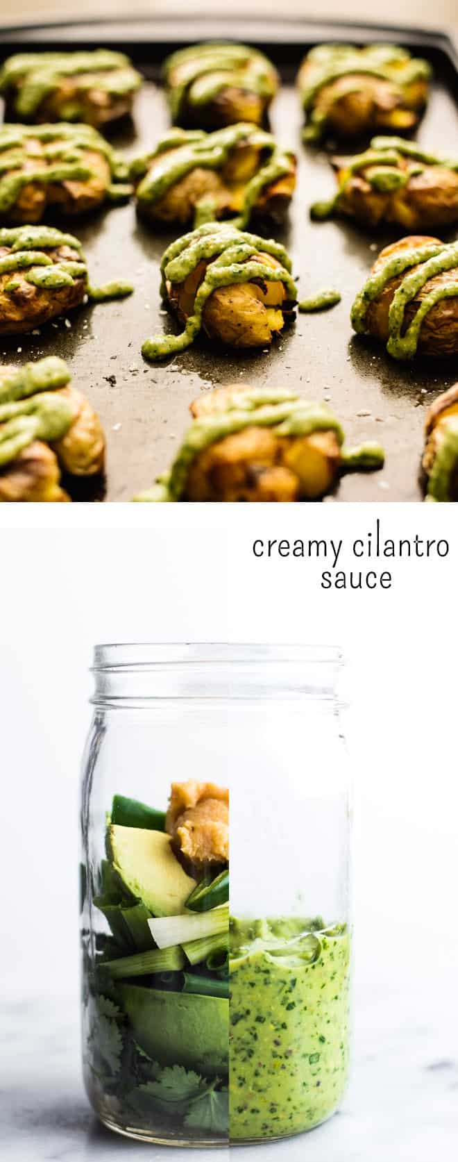Versatile Creamy Cilantro Sauce - an easy, tasty sauce that only takes 5 minutes to make, and it goes well with everything! by Lisa Lin of clube.futebolmilionario.com