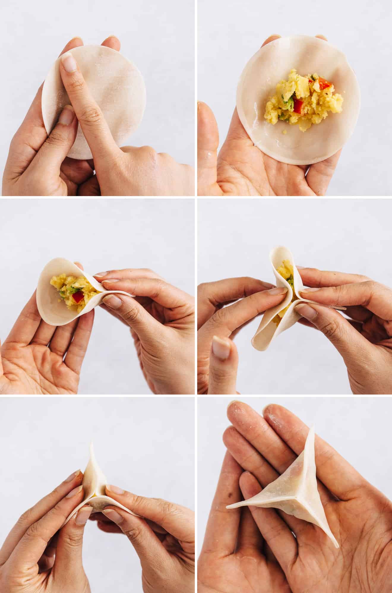 Curried Potato Fried Dumplings - includes step-by-step photos on how to fold dumplings