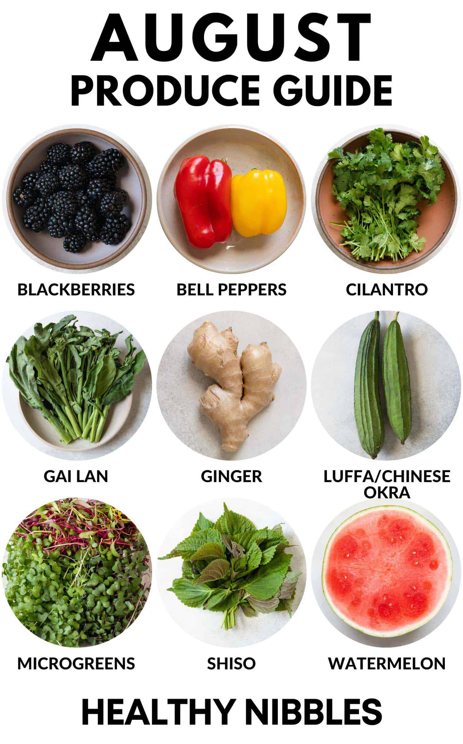 August Produce Guide: blackberries, bell peppers, cilantro, etc.